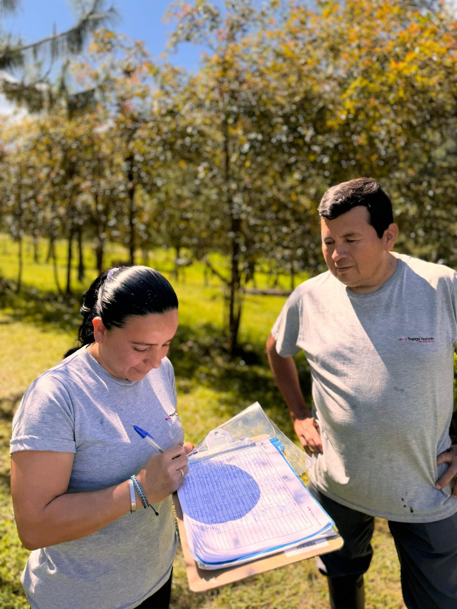 Dos personas del equipo revisan planos sobre el terreno, entre árboles